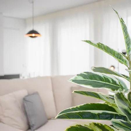 Liiiving In - Modern & Glam J *