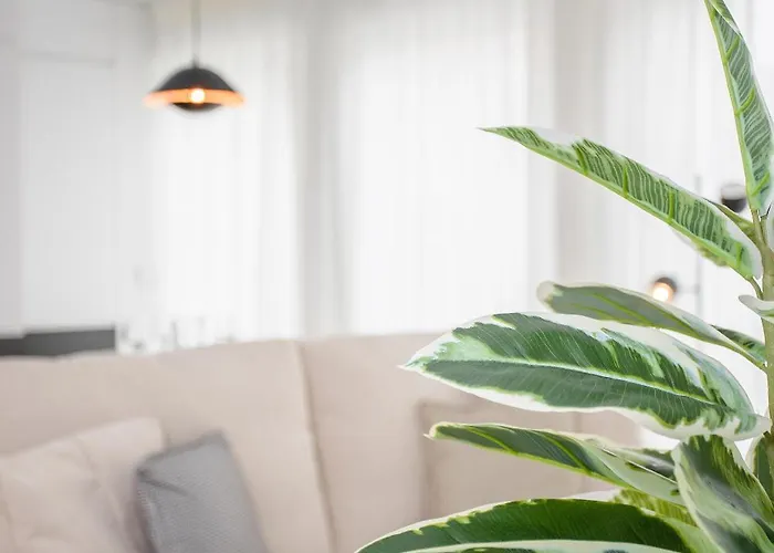 Appartement Liiiving In - Modern & Glam J